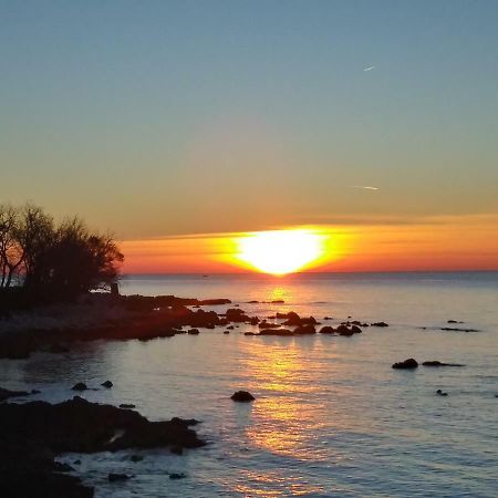 Allegria Umag Bagian luar foto